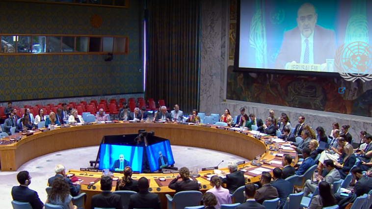 Security Council Briefing Ramiz Alakbarov