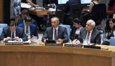 Nickolay Mladenov,UN Special Coordinator Briefs the Security Council. 25 July 2017. UN Photo/Kim Haughton