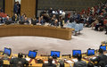 Time to stop ‘managing’ Israeli-Palestinian conflict, show leadership to resolve it – Security Council told