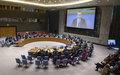 Security Council Briefing on the Situation in the Middle East, including the Palestinian question