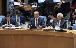 Nickolay Mladenov,UN Special Coordinator Briefs the Security Council. 25 July 2017. UN Photo/Kim Haughton