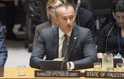 Special Coordinator for Middle East Peace Process Addresses Security Council